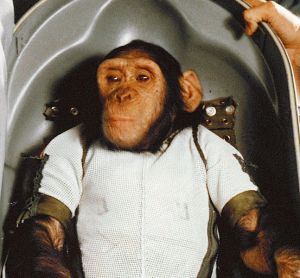 647px-Chimpanzee_Ham_in_Biopack_Couch_-_cropped